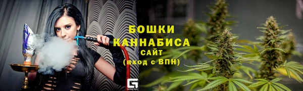 СК Няндома