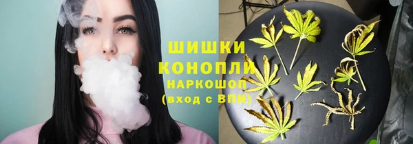 ГАЛЛЮЦИНОГЕННЫЕ ГРИБЫ Нягань
