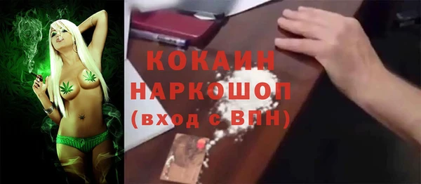 СК Няндома