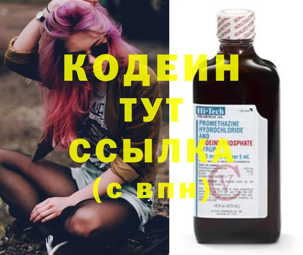 СК Няндома