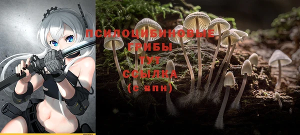 мяу мяу кристалл Новодвинск