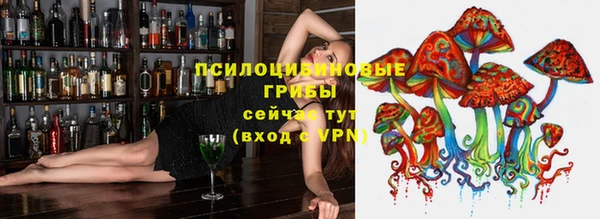 СК Няндома